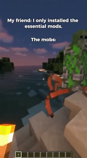 My friend said he only installed the essential mods…