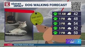 Dog walking forecast: Temps reach the mid-50s, slight chance for evening rain | Good Day on WTOL 11