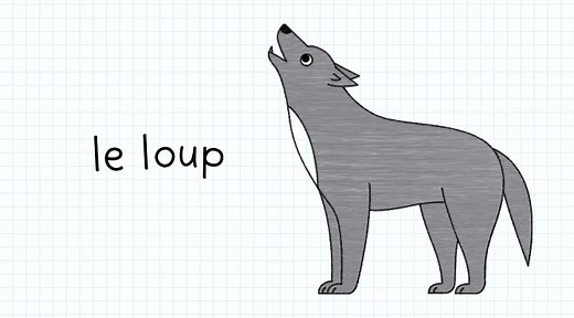 Un dessin de loup facile à faire - La Salamandre