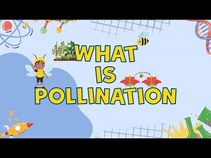 What is Pollination | Learn about Bees | STEM-Videos for Grade 1 Kids