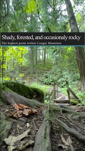 🌲 Discover the Whittaker Trail in Issaquah, WA | Scenic Hike & Nature Walk 🥾 #HikingAdventures