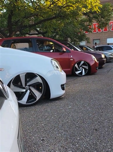 Exploring the Bagged Polo Lifestyle