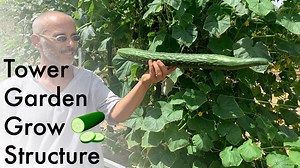 1.4K views · 62 reactions | Agrotonomy has built a custom grow structure for the tower garden that allows you to grow cucumbers, beans, melons, pumpkins, squash, and any other crawling vines! Learn how to build a custom built grow structure for your Tower Garden! | Agrotonomy Tower Farms | Facebook