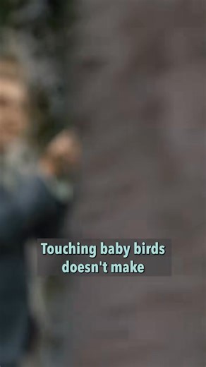 222K views · 2.9K reactions | Did you know? 易 #educational #comedy #collegehumor | CollegeHumor | Facebook