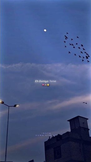 Mohabbat🌷❤️🥰 - Lyrics Status | #lyrics #viral #shorts #trending
