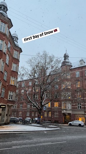 First day of snow in Copenhagen #snowfall #highlightsシ゚ #everyoneシ゚ | JC GLARZ VLOGS