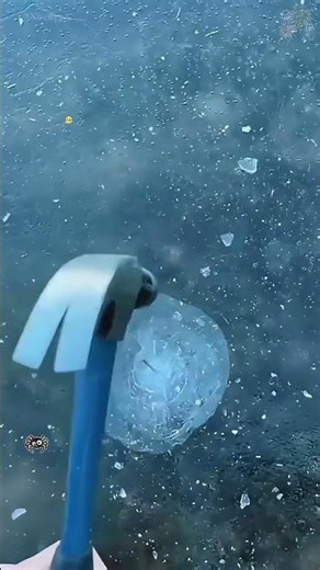 Another year, another snow day to enjoy like pros.Who's in?#sia #snowman#shorts #fyp