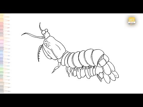 Mantis shrimp drawing easy | Fish drawing tutorials | How to draw Mantis shrimp Animal step by step
