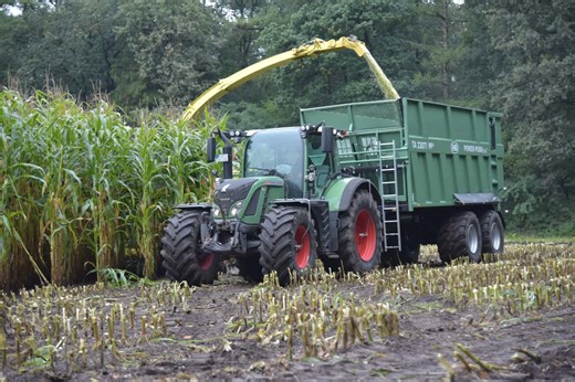 Maisernte statt Meetings - Urlaub auf dem Traktor