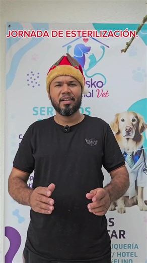 Esterilización de Caninos y Felinos en Tulua Valle 2024