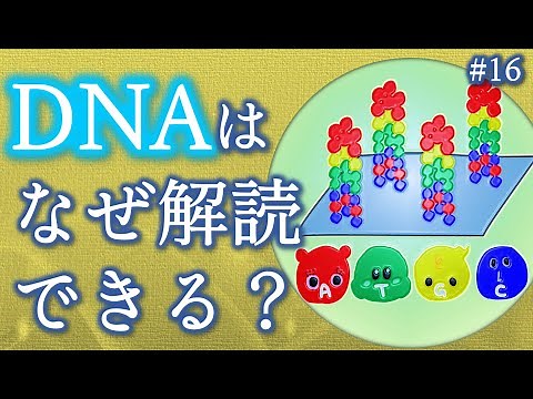 16. DNAはなぜ解読できる？次世代シーケンサーで「大DNA時代」を生き抜け！【科学のポッドキャスト】