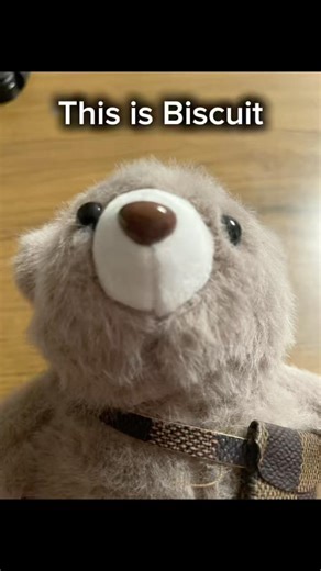 Lemonade? #biscuit #bear #cute #teddy #lemonade #lemonadestand #fyp