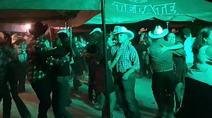 El rock del sapo | Jose morales el principe de los teclados