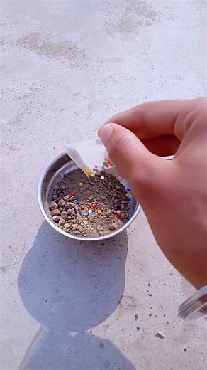 🔥 মাটির নিচে Orbeez চাপা দিলাম! 24 Hours Experiment Result 😱 #shorts #minivlog