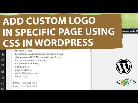 How to Add Custom Logo in Specific Page using CSS in WordPress