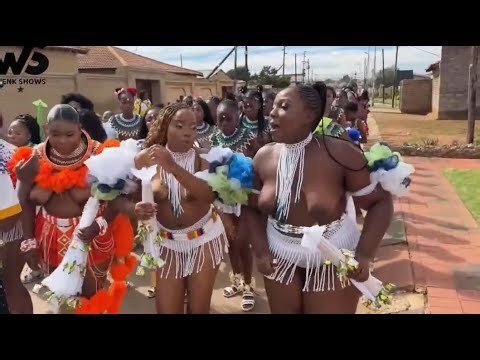 Swaziland izintombi zulu dance reed dance umhlanga