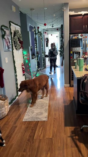 Amanda Stewart's Special Needs Story Uncovered