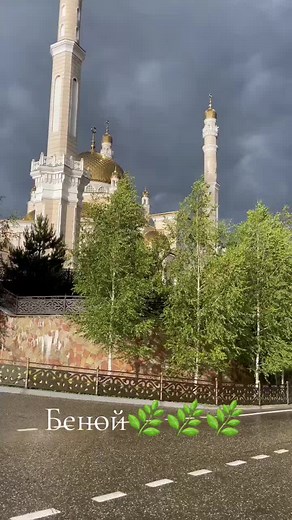 adam_766__ on TikTok