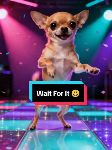 This Chihuahua has more dance energy than most humans 😂🐶 #dogsoftiktok #chihuahua #funnydog #dogvideo #petsoftiktok