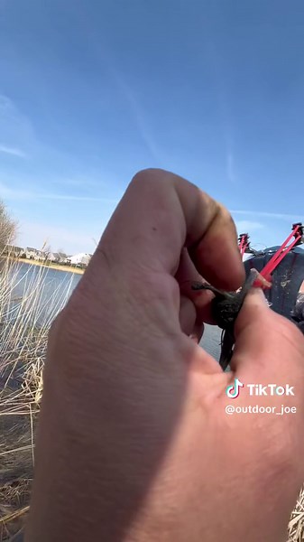 Slingshot Fishing Challenge: Catching Fish with Temu Reel