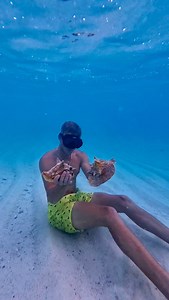 Cleaning a conch underwater in The Bahamas #conch #conchshell #conchsalad🐚🐚🐚 #instadaily #bahamas #influencer #capturethemoment #intothewild #underwaterworld #divein #adventure #fisherman #underwaterlife #explore | Duran Roberts