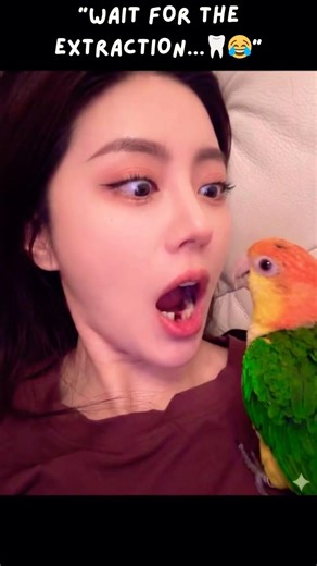 HE WORKS FOR WALNUTS AND IT SHOWS 😭🦷 [DENTIST FAIL]