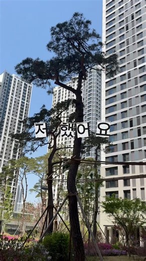 N억 전세사기피해자가 순자산 10억 달성한 방법