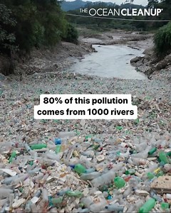 202 reactions · 44 shares | Ridding the ocean of plastic is a momentous task that we can't do alone. Donate to join the largest cleanup in history. | The Ocean Cleanup | Facebook