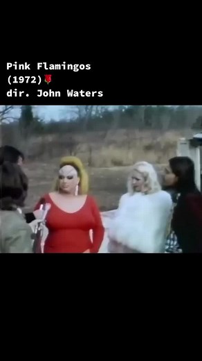 Divine en Pink Flamingos (1972) dr. John Waters 🌹#pinkflamingo #film