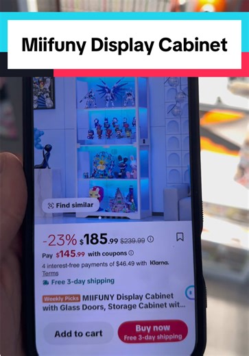 Amazing Display Cabinet Upgrade for Collectors