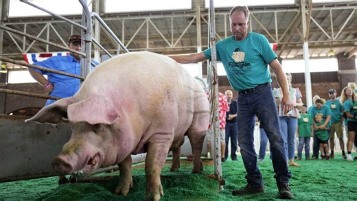 Day 1 guide to the Iowa State Fair: All events back on schedule after morning rain