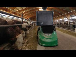 Butler Gold und Flypit Stiermast