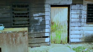 aforbaracuda on TikTok