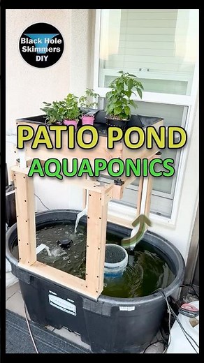 DIY Patio Pond Garden Using Aquaponics – Soil or No Soil?