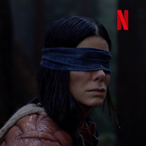 9.3K reactions · 1.7K shares | This December, survive at all costs. Watch Bird Box starring Sandra Bullock on Netflix, December 21. | Netflix | Facebook