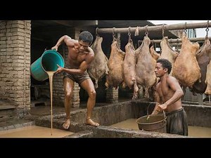 TOP 5: Mass Production Amazing Factory & Manufacturing Videos!