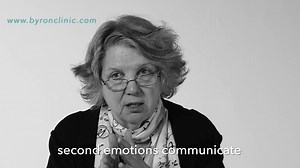 Marsha Linehan - Areas of Emotion