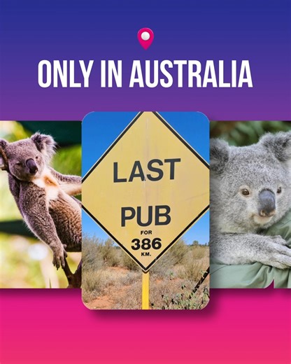 Only In Australia would you see... 👇 What's your favourite #OnlyInAustralia experience? | Australia Day