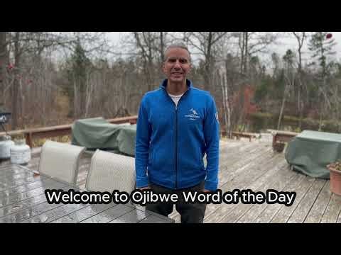 Dapiiwan = It is wet, moist (Ojibwe Word of the Day)
