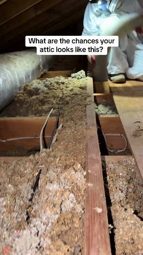 Attic cleanup signs: How to tell if your attic is costing you money