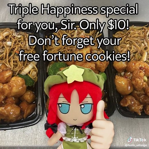 #touhou #fumofumo #reimuhakurei #hongmeiling #sushi | hong meiling