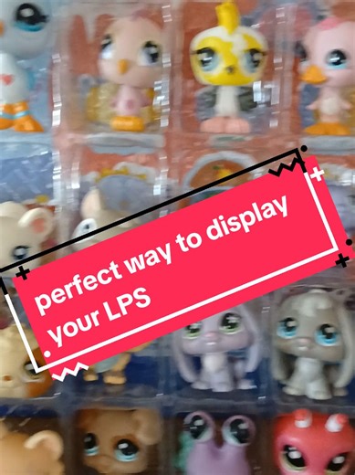 credt to @ִֶָ. ..𓂃 ࣪ ִֶָ🦇་༘࿐ for the idea! #favouritelps #lpshusky #lpsdog #littlestpetshoptok #lps #lpscollection #littlestpetshop #toytok #littlestpetshoptiktok #lpstok #lpslover #lpsdisplay #displayidea #collectinglps