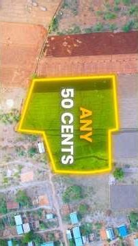Agriculture land || 50Cents || beaide minority colony || Yemmiganur
