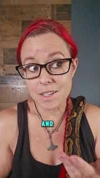 Choosing a ball python is about a lot more than just price ❤️