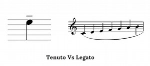 Tenuto Vs Legato (Differences Between Tenuto And Legato) - CMUSE