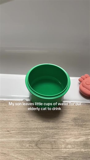 Elderly Cat Prefers Cups of Water Over Dish