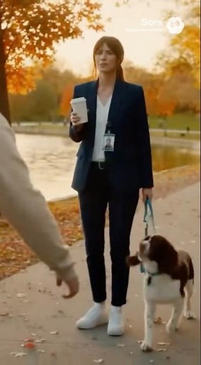 Springer Rage - Dog Bites Doofus #Spaniel #dogbites #coworkers