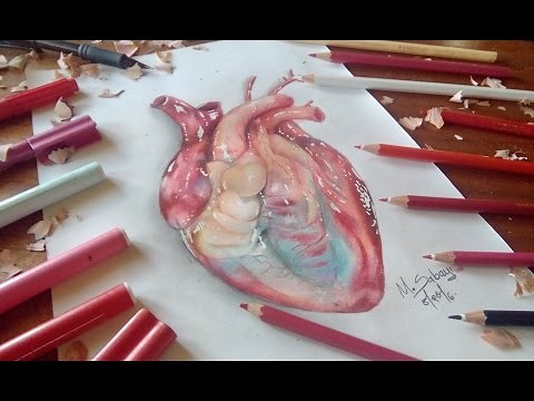 How to draw a hyper realistic heart-colored pencil tutorial