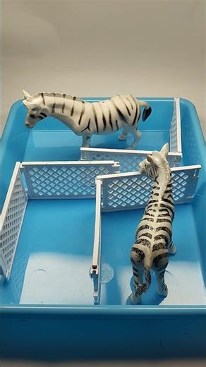 Animal Toys Diorama | ASMR #animaltoys #diorama