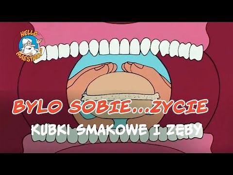 Bylo Sobie... Zycie 🌱 - Kubki smakowe i zęby 🦷